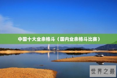 ​中国十大业余格斗（国内业余格斗比赛）