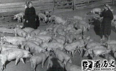 ​战时共产主义产生的背景介绍