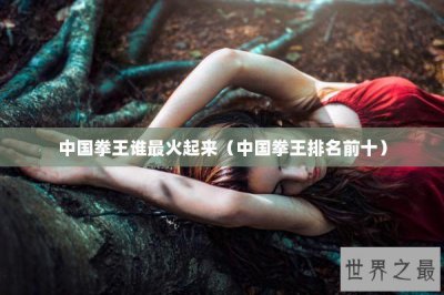 ​中国拳王谁最火起来（中国拳王排名前十）