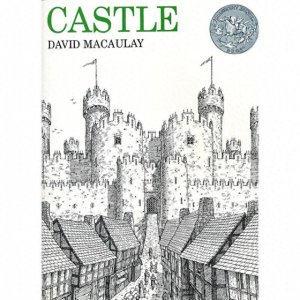 ​20本适合给青少年读的书