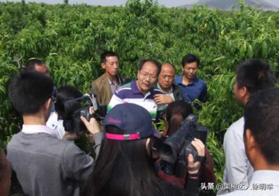 ​桃树什么时间剪枝最好？了解学习这些法，动起剪刀不用愁