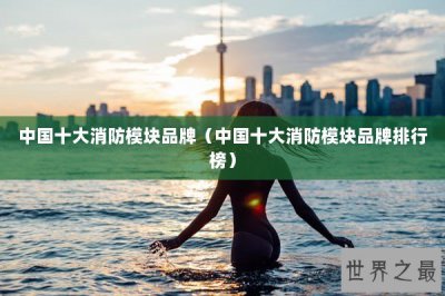 ​中国十大消防模块品牌（中国十大消防模块品牌排行榜）