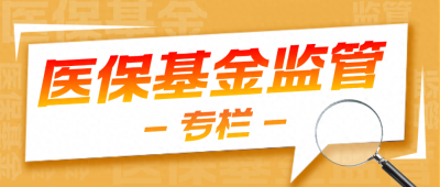 ​医保飞行检查“十注意”