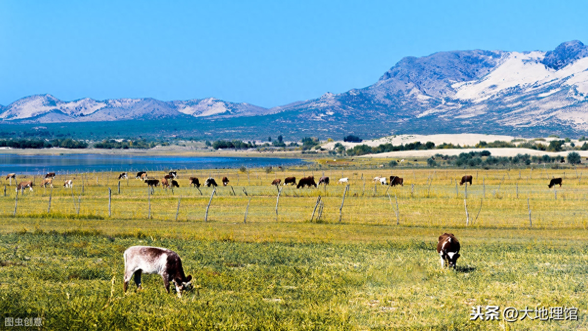 地图看中国四大高原：内蒙古高原、黄土高原、云贵高原、青藏高原