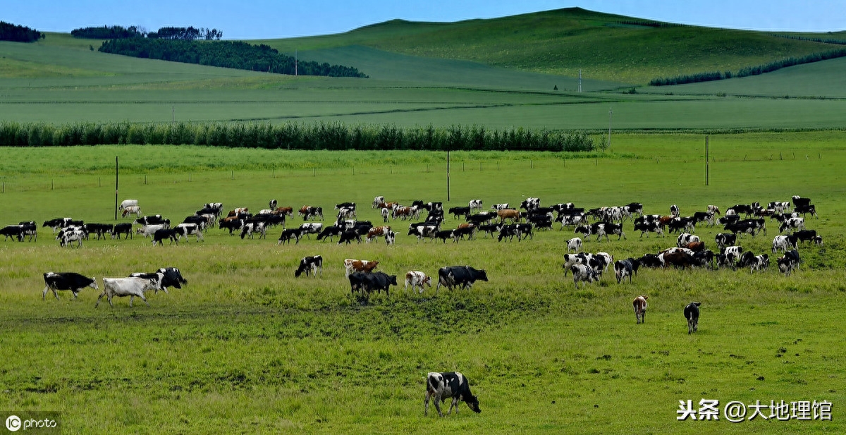 地图看中国四大高原：内蒙古高原、黄土高原、云贵高原、青藏高原