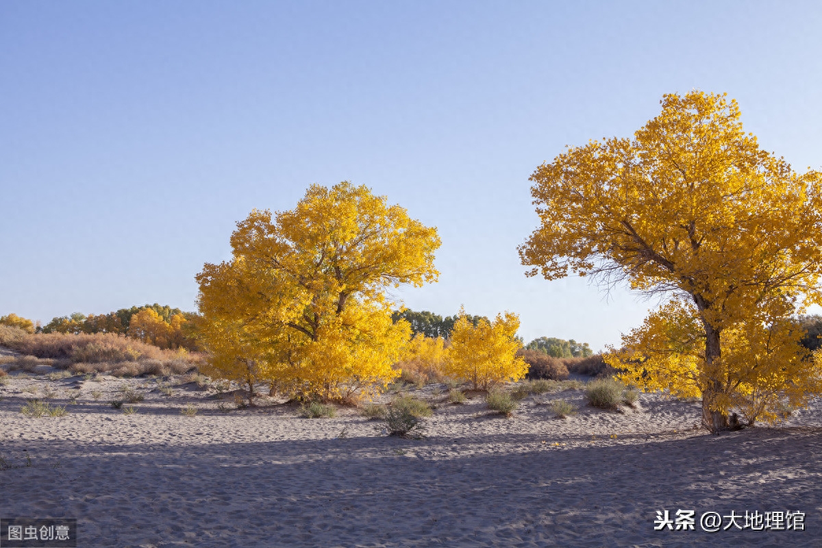 地图看中国四大高原：内蒙古高原、黄土高原、云贵高原、青藏高原
