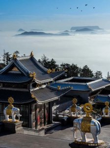 ​黄山四绝指的是哪四个？你知道吗？