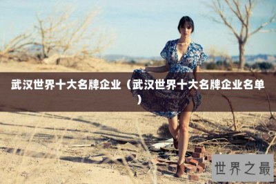 ​武汉世界十大名牌企业（武汉世界十大名牌企业名单）