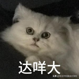 ​怎么画眼线 初学者？保姆级眼线画法来了，简单易学适合新手