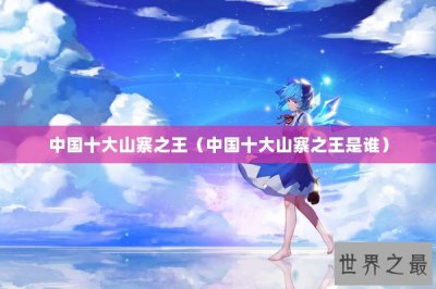 ​中国十大山寨之王（中国十大山寨之王是谁）