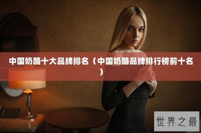 ​中国奶酪十大品牌排名（中国奶酪品牌排行榜前十名）