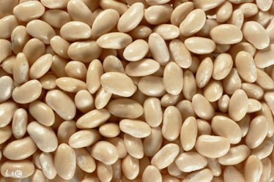 ​扁豆的功效与作用 扁豆的八大功效和作用，孕妇适合吃扁豆吗？