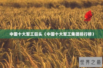 ​中国十大军工巨头（中国十大军工集团排行榜）