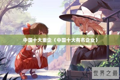 ​中国十大重企（中国十大有名企业）