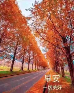 ​问候语有哪些词语(早晨问候语精选30条)