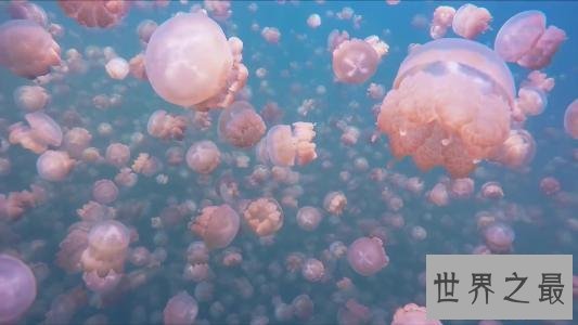 世界十大最奇特的湖泊,少女粉红色的湖你见过没?