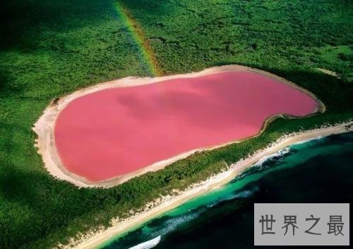 世界十大最奇特的湖泊,少女粉红色的湖你见过没?