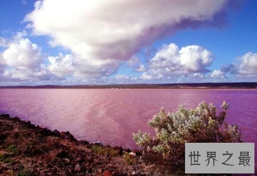 世界十大最奇特的湖泊,少女粉红色的湖你见过没?