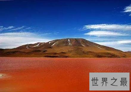 世界十大最奇特的湖泊,少女粉红色的湖你见过没?