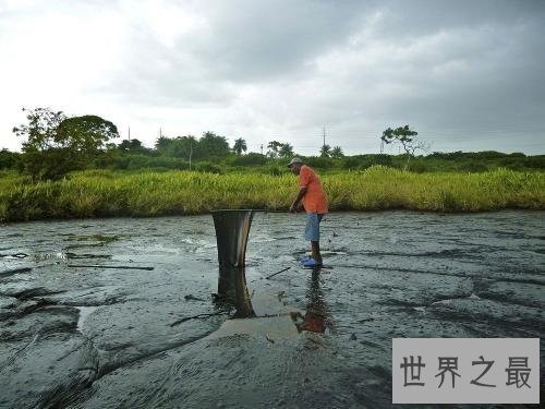 世界十大最奇特的湖泊,少女粉红色的湖你见过没?