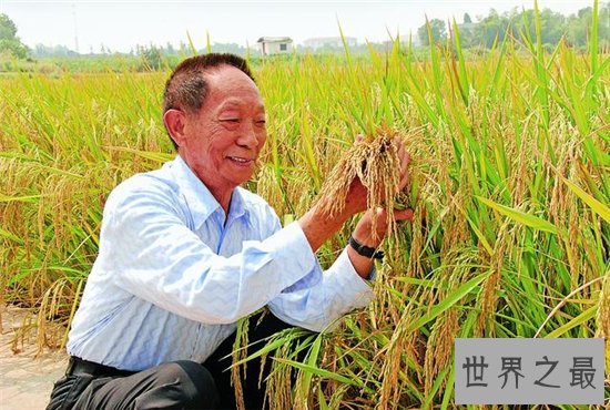 中国最伟大的科学家竟然不是屠呦呦 此人养活了数亿中国人