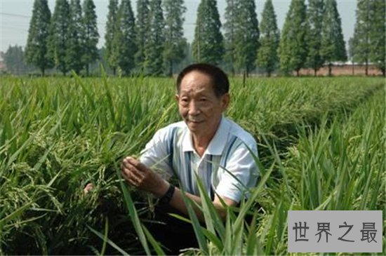 中国最伟大的科学家竟然不是屠呦呦 此人养活了数亿中国人