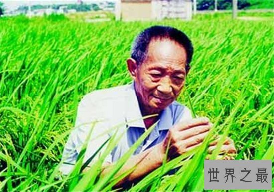 中国最伟大的科学家竟然不是屠呦呦 此人养活了数亿中国人