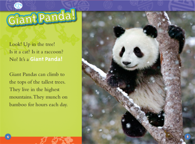 ​熊猫英语怎么写？什么？大熊猫的英文竟然不是Panda？