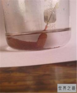 ​世界十大最强酸，硫酸只能排到第十