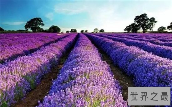 世界最让人惊艳的十大景点,盘点那些令人叹为观止的景点!