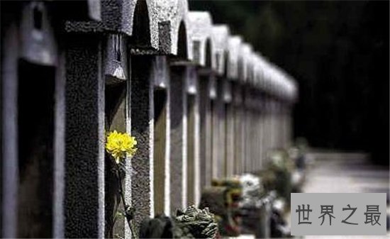 最有前景的十大行业,十大最具潜力的行业排行