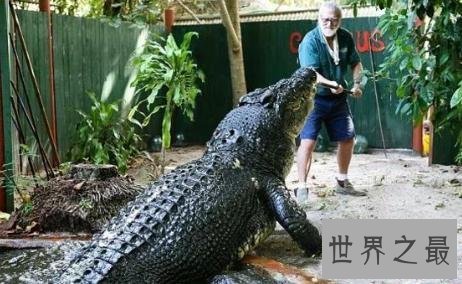 史上最大的鳄鱼,第一体重重达2000公斤!