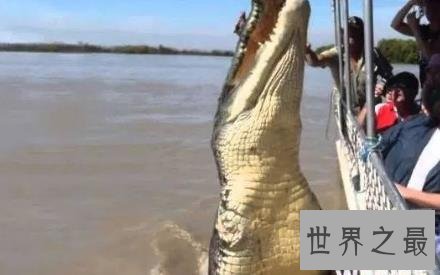 史上最大的鳄鱼,第一体重重达2000公斤!