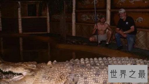 史上最大的鳄鱼,第一体重重达2000公斤!