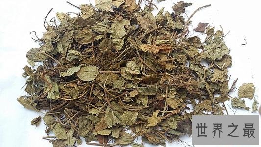 有利于提高记忆力的十种食物,常吃这些让你过目不忘