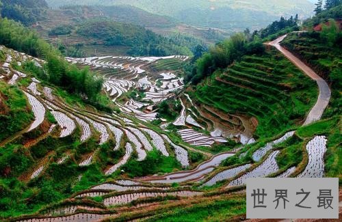 全球最美的十大梯田排行榜,人类的智慧令人惊叹