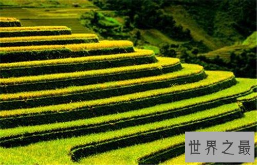 全球最美的十大梯田排行榜,人类的智慧令人惊叹