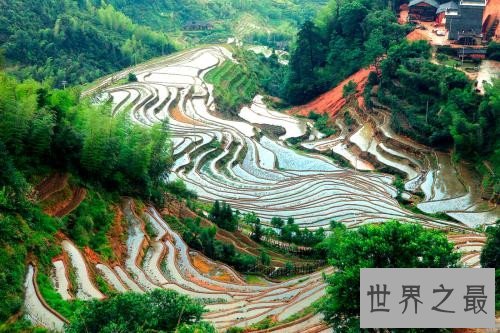 全球最美的十大梯田排行榜,人类的智慧令人惊叹