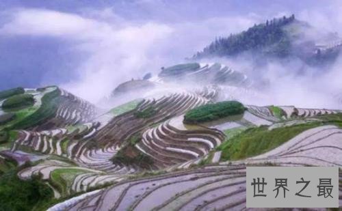 全球最美的十大梯田排行榜,人类的智慧令人惊叹