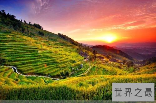 全球最美的十大梯田排行榜,人类的智慧令人惊叹