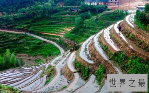 全球最美的十大梯田排行榜,人类的智慧令人惊叹