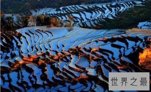 全球最美的十大梯田排行榜,人类的智慧令人惊叹