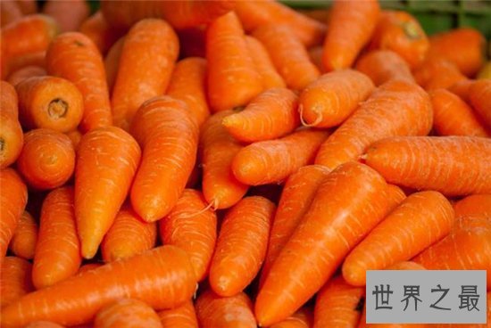 胡萝卜的功效与作用,胡萝卜竟然还有这样的好处!