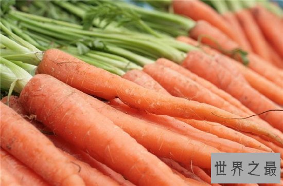 胡萝卜的功效与作用,胡萝卜竟然还有这样的好处!
