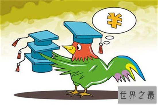 野鸡大学内幕,揭幕中国那些野鸡大学骗局!