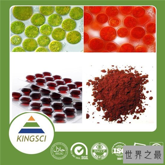 天然虾青素具有保健功效,与人为合成虾青素区别大
