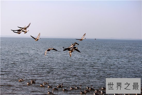 中国最大城市呼伦贝尔,感受一望无际的大草原!