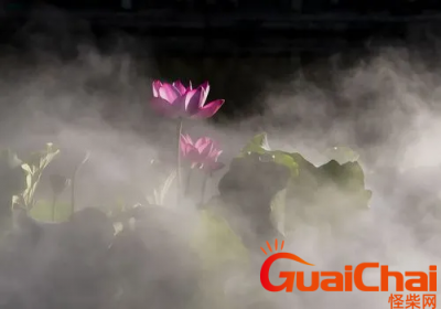 ​用雾里看花如何造句？雾里看花的意思是什么？