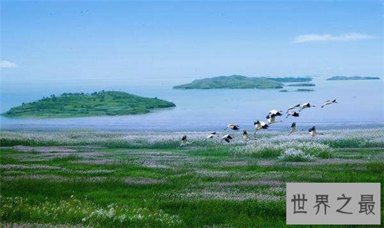 中国最大淡水湖潘阳湖,国家级的自然保护区!