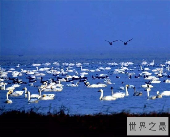 中国最大淡水湖潘阳湖,国家级的自然保护区!